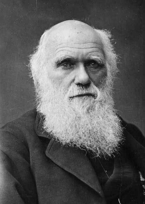 Puzzle Ovo da Evolução - Charles Darwin