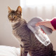Aspirador Pelo Pet Vacuum