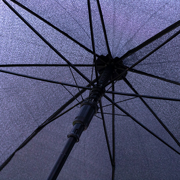 Umbrella Samurai