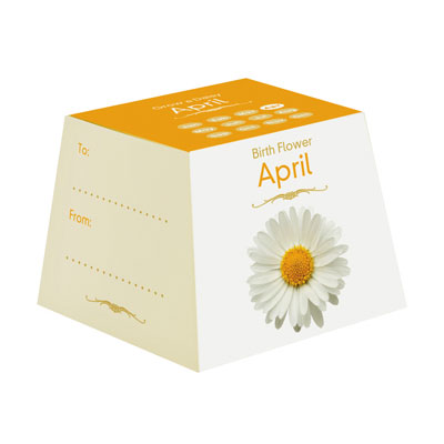 Flores de Aniversário - Abril