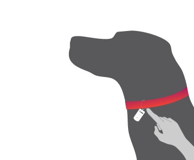 Dispositivo de Treino para Cão Tractive Pet Remote