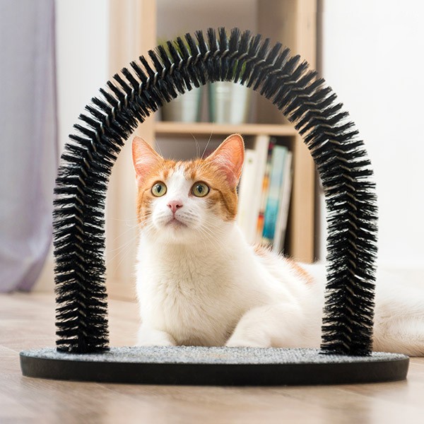 Arco Massajador para Gatos