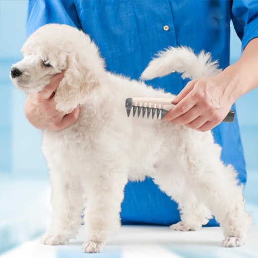 Comb and Cut Electric Knots Dog Comb