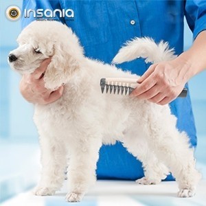 Comb and Cut Electric Knots Dog Comb