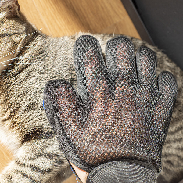 Pinceau à gants pour animaux domestiques