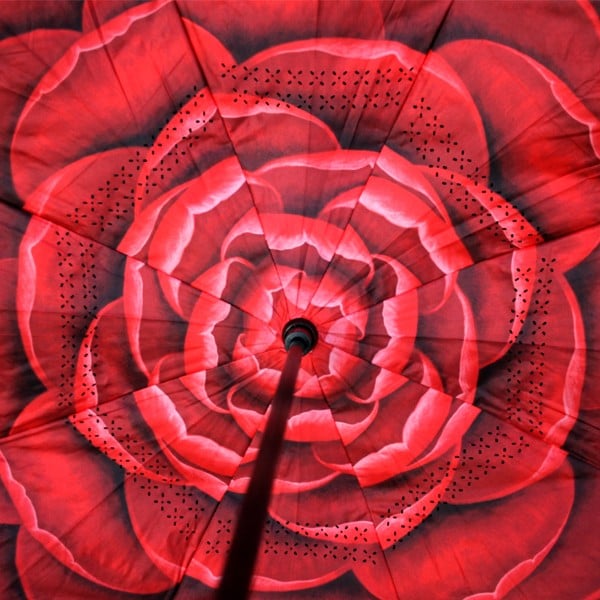 Flor vermelha 1