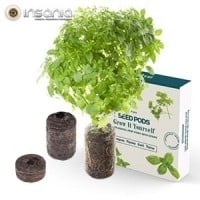 Conjunto de 4 tipos de sementes Tregren