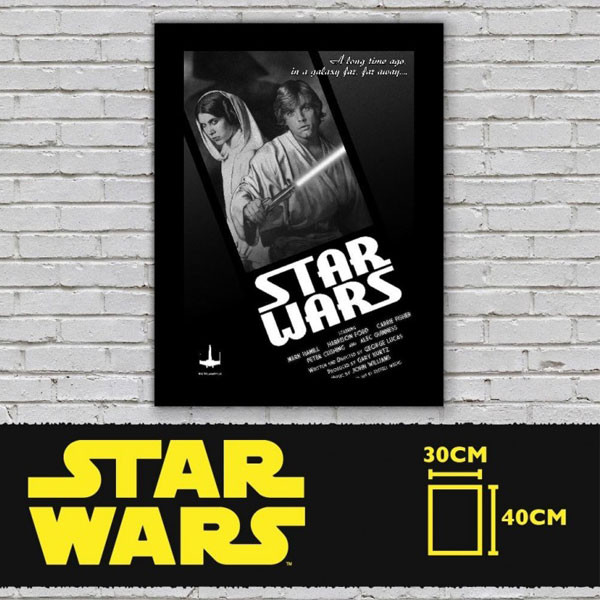 Luke and Leia Glass Poster