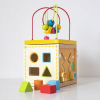 5-in-1 Wooden Educational Cube