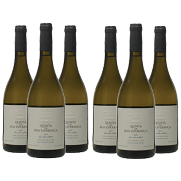 Caixa de 6 Garrafas de Vinho Quinta da Boa Esperança Sauvignon Blanc Branco 2017