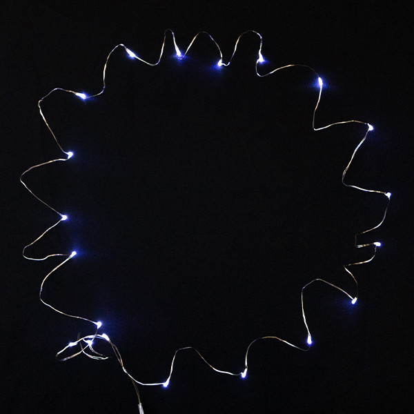 Chain of 25 Cool White Indoor LED Lights