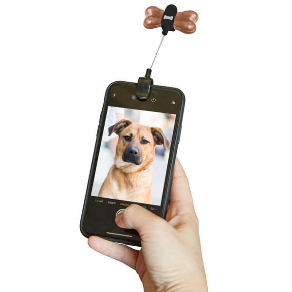 Clip à selfie avec animal