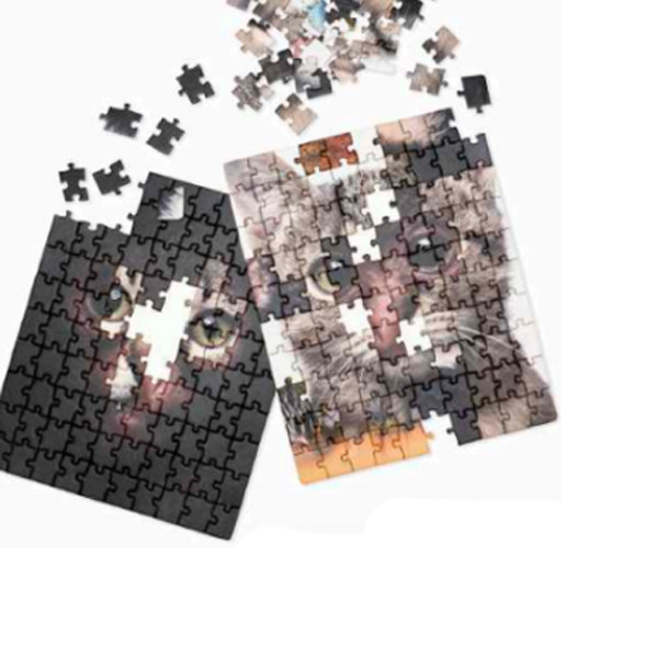 Puzzle de 100 Peças Shuffleface (Pack 4)