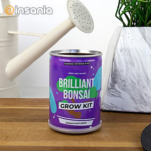 Grow Tin: Bonsai Brilhante