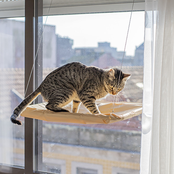 Cama de gato para bebês: como fazer em casa