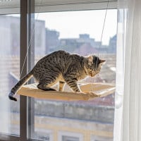 Lit Fenêtre pour Chats