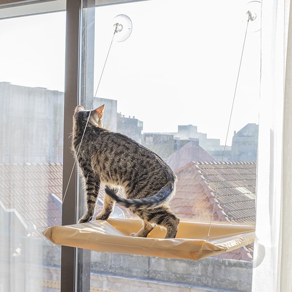 Lit Fenêtre pour Chats