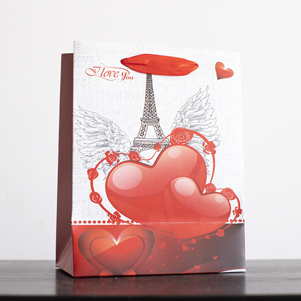 Sac Cadeau Coeurs avec Paillettes (18x23x10cm)