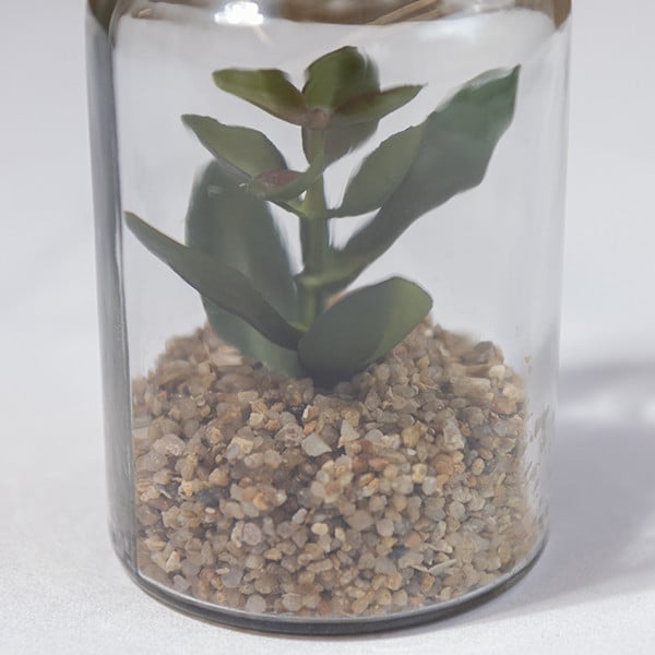 Decorative Cato in Glass Jar