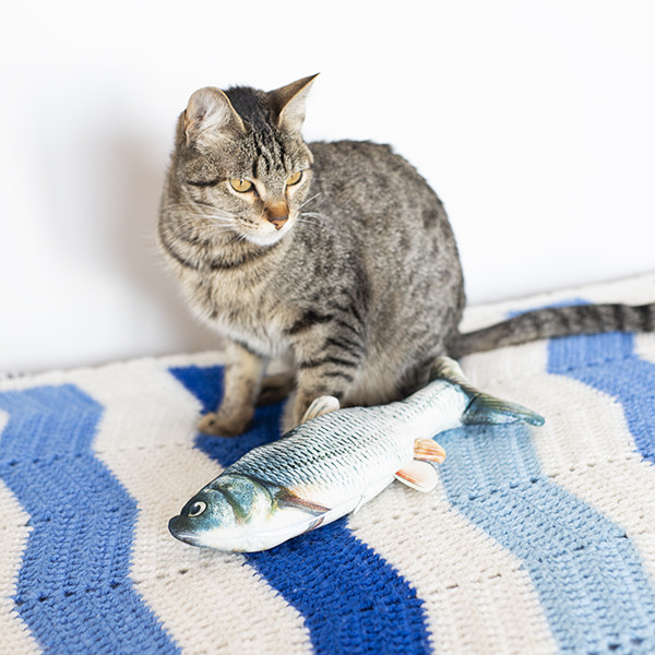 Peixe Interativo para Gatos