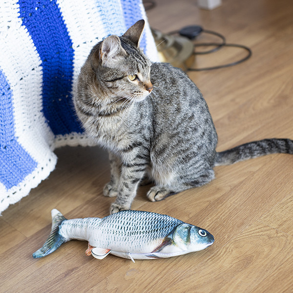 Interactive Cat Fish