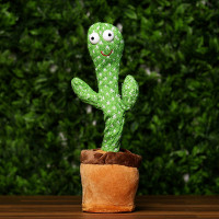 Cactus Bailarín
