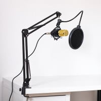 Kit de microphone professionnel