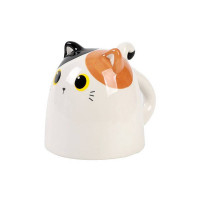 Orange Cat Backwards Mug