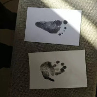 Kit de impresión de manos y pies para bebés